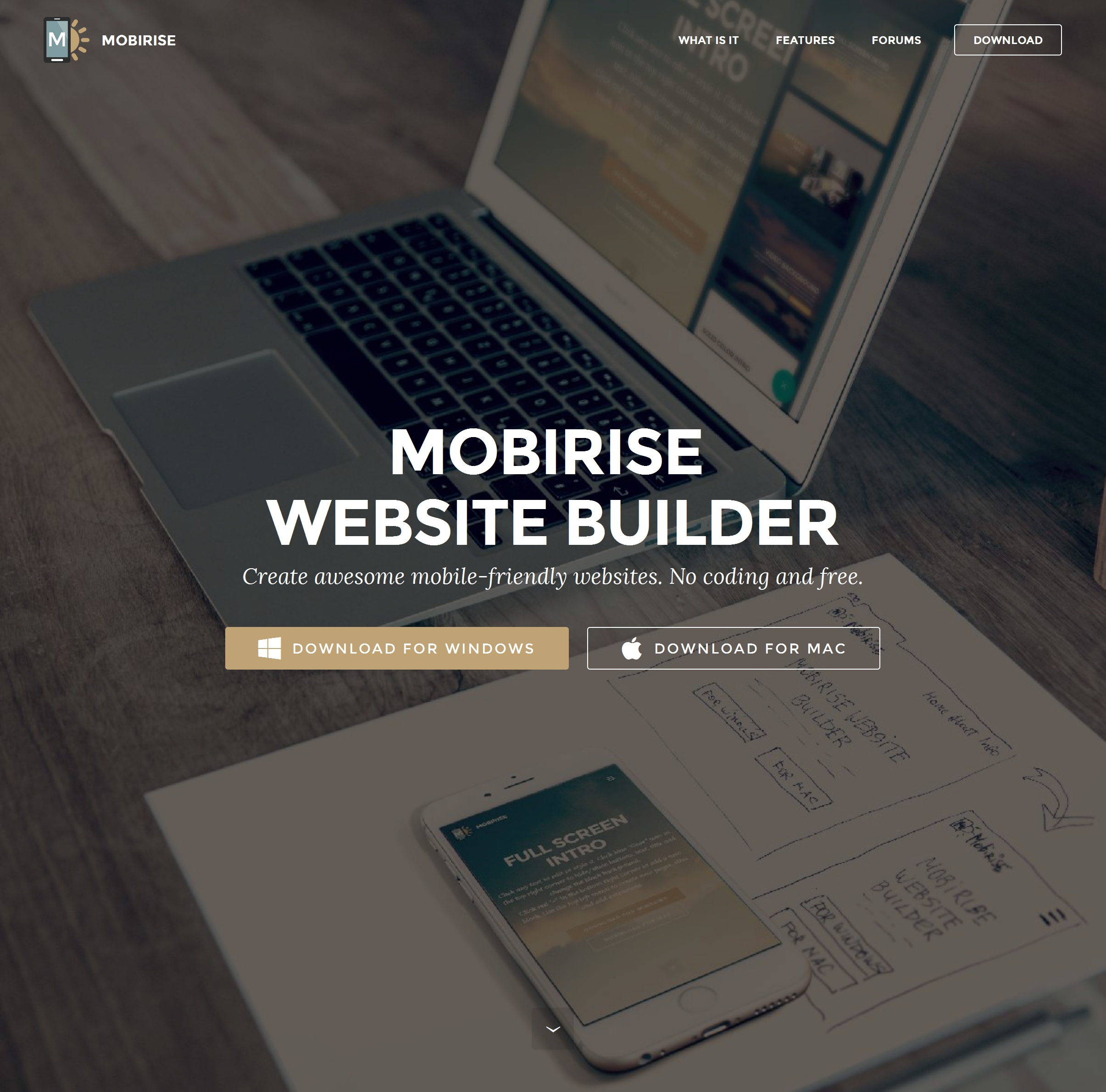 Top  Web Builder 